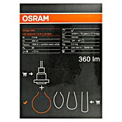 Osram LED svetlobni vir Vintage Edition 1906 okrogle oblike E27  (Premer: 9,5 cm, E27, Možnost zatemnitve, Toplo bela, 360 lm, 7,8 W) | LED luči | Svetlila | Elektro in svetila | Izdelki | BAUHAUS