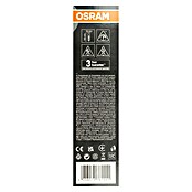 Osram LED-Lampe Vintage Edition 1906 Globe-Form E27 (E27, Dimmbar, Warmweiß, 470 lm, 4,8 W) | BAUHAUS