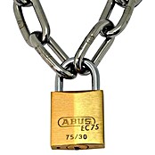 Abus Titalium hangslot Lock-Tag 75/30 (b x h: 30 x 54 mm, Beugeldikte: 5 mm, Veiligheidsniveau: 5) | BAUHAUS