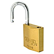 Abus Titalium hangslot Lock-Tag 75/30 (b x h: 30 x 54 mm, Beugeldikte: 5 mm, Veiligheidsniveau: 5) | BAUHAUS