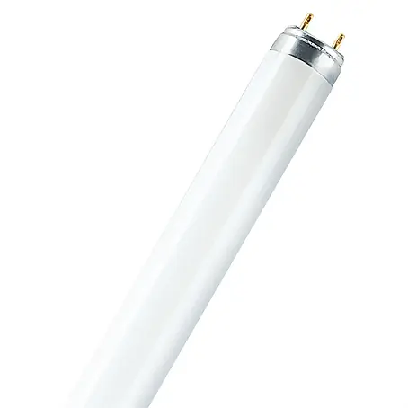 Osram  Leuchtstoffröhre T8