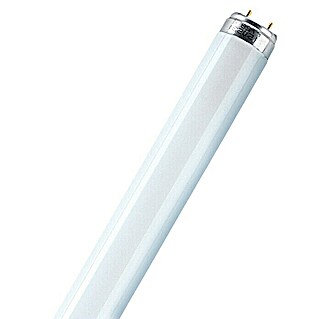 Osram Leuchtstoffröhre T8 (18 W, 60,4 cm, Tageslichtweiß, 1 250 lm)