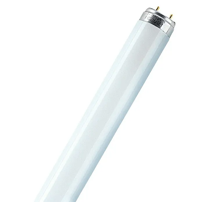 Osram Leuchtstoffröhre T8 - Länge: 151,4 cm, Tageslichtweiß, 58 W, 4.900 lm, G13 - Eine fluoreszierende Röhre, ideal für die Beleuchtung von Büros und Werkstätten, bietet helles, effizientes Licht.