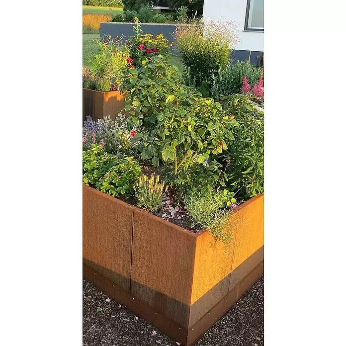 Palatino Hochbeet Urban C-Form - 500 x 500 x 70 cm, Stahl, Rostbraun - Stimmungsaufnahme