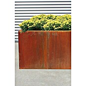 Palatino Hochbeet Urban S-Form (500 x 400 x 70 cm, Stahl, Rostbraun) | BAUHAUS