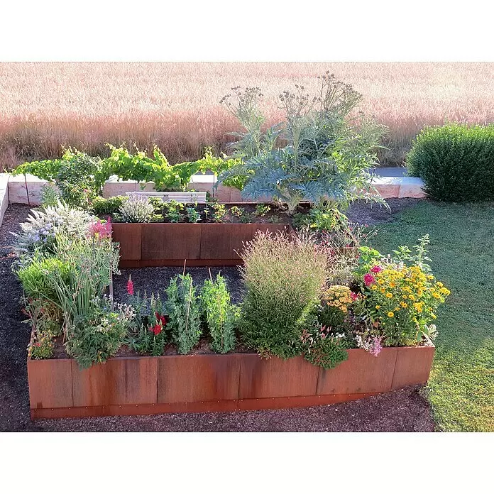 Palatino Hochbeet Urban C-Form - 500 x 500 x 70 cm, Stahl, Rostbraun - Stimmungsaufnahme