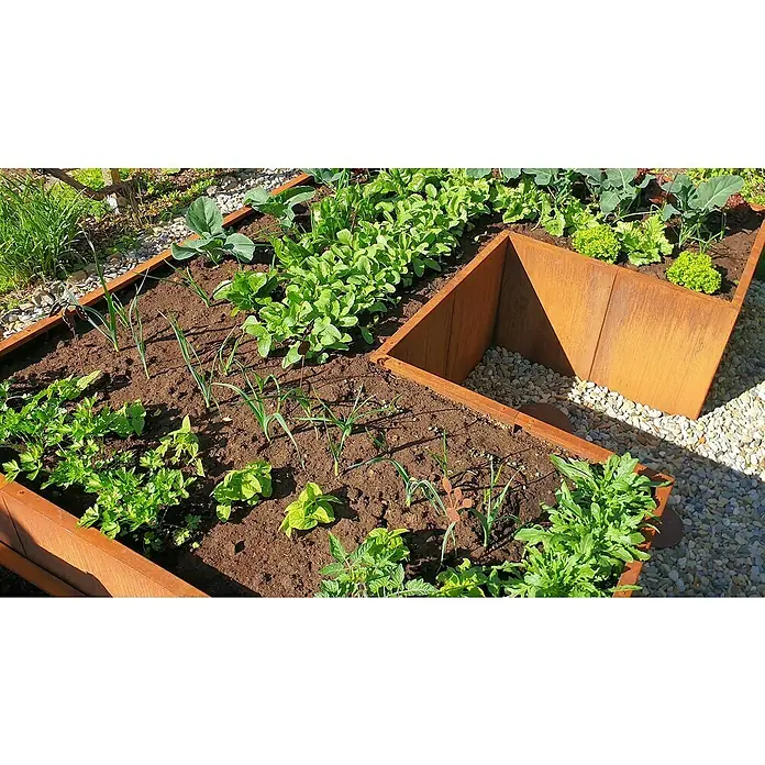 Palatino Hochbeet Urban U-Form - 300 x 200 x 70 cm, Stahl, Rostbraun - Hochbeet mit einer Vielzahl von frischem Gemüse wie Salat, Zwiebeln und Kohl, die ordentlich in der Erde angeordnet sind.