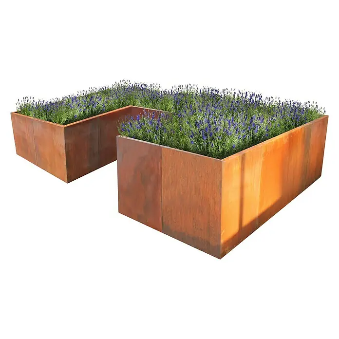 Palatino Hochbeet Urban U-Form - 300 x 200 x 70 cm, Stahl, Rostbraun - Zwei rostige Pflanzkästen aus Cortenstahl, bepflanzt mit lila Lavendel, stehen auf einem schwarzen Hintergrund und bieten eine dekorative Gartengestaltung.