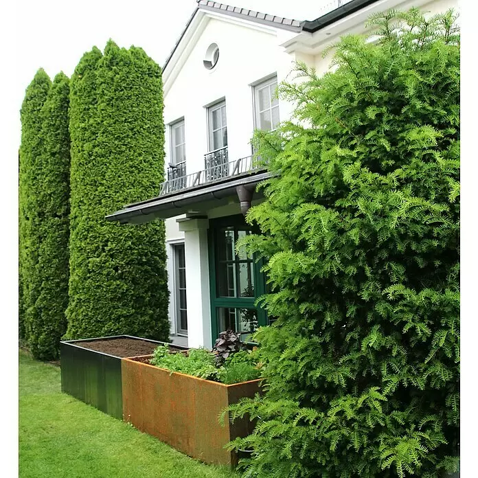 Palatino Hochbeet Urban - 300 x 50 x 70 cm, Stahl, Rostrot - Stimmungsaufnahme