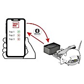 Swissinno Bluetooth-Empfangseinheit Fangalarm Connect SuperCat (Passend für: Swissinno Mause- und Rattenfallen) | BAUHAUS