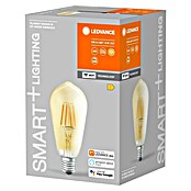 Ledvance Smart+ WiFi Ledlamp Edison Gold (E27, Dimbaar, Warm wit, 680 lm, 6 W) | BAUHAUS