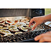Weber Crafted Cesta para barbacoa (L x An x Al: 41,4 x 43,7 x 5,1 cm, Acero inoxidable) | BAUHAUS