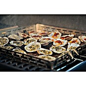 Weber Crafted Cesta para barbacoa (L x An x Al: 41,4 x 43,7 x 5,1 cm, Acero inoxidable) | BAUHAUS