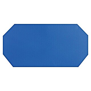Cubierta de piscina para invierno (Azul, Plástico)