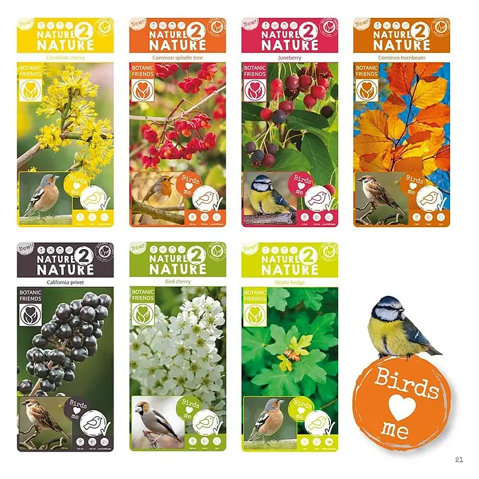 Ziersträucher-Mix Vogel- und Insektennährgehölze - verschiedene Arten - Eine Auswahl an "Nature for Birds"-Produkten, darunter Kornelkirsche, Spindelstrauch, Felsenbirne, Hainbuche, Liguster, Vogelkirsche und Ahornhecke.