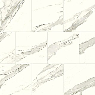 Feinsteinzeugfliese Torino Bianco (60 x 60 cm, Weiß/Grau, Glänzend)