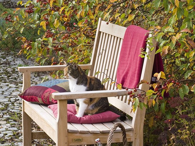 Katze auf einer Bank im Garten
