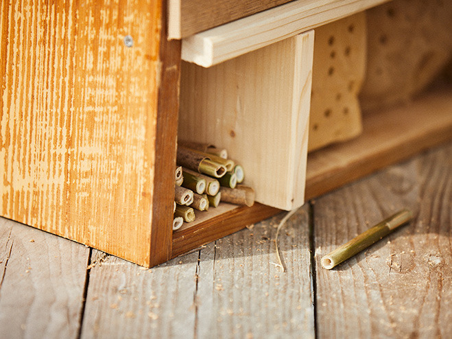 Insektenhotel bauen: Nahaufnahme der Füllmaterialien