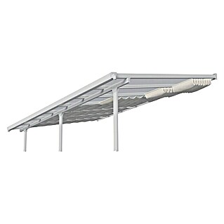 Palram – Canopia Ersatzdach für Pergola (560 x 300 cm)