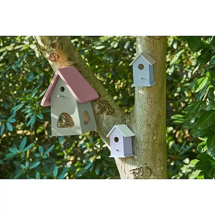 swingcolor Farblasur Universal-Gartenfarbe - 750 ml, Kirschblütenrosa, Seidenmatt - Stimmungsaufnahme