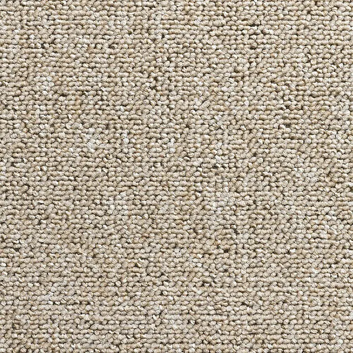 Teppichboden Meterware Liam - Breite: 500 cm, Schlinge, 100 % Polypropylen, Beige - Nahaufnahme eines beigen Teppichs mit dichter Textur. Ideal für Wohnräume, die Komfort und Wärme ausstrahlen.