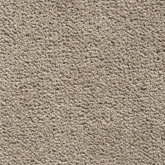 Teppichboden Meterware Xenia (Breite: 400 cm, Velours, 100 % Polyester, Taupe) | BAUHAUS