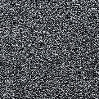 Teppichboden Meterware Xenia (Breite: 400 cm, Velours, 100 % Polyester, Dunkelgrau)