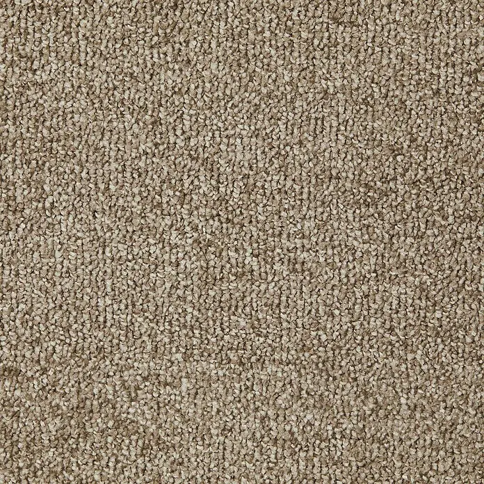 Teppichboden Meterware Mia - Breite: 400 cm, Saxony, 100 % Polypropylen, Dunkelbeige - Detailaufnahme eines beigen Teppichs mit dichter, strukturierter Oberfläche, ideal für Wohnräume.
