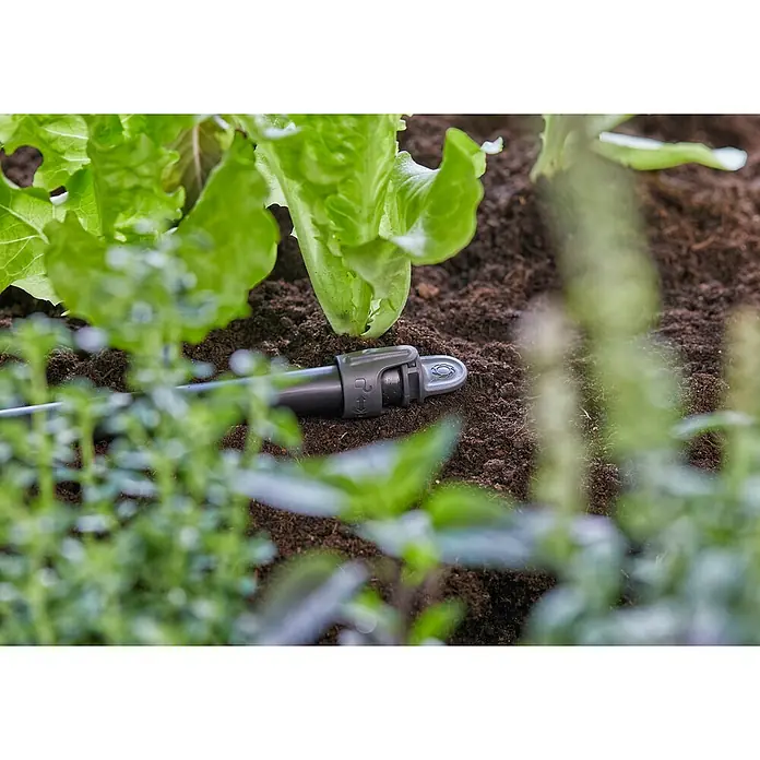 Gardena Micro-Drip Tapón de sellado - 4 ud., ½″ - Detalle de un sistema de riego de jardín que riega plantas verdes vibrantes y lechugas sanas.