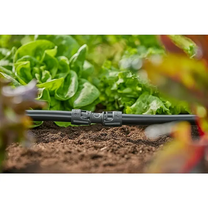 Gardena Micro-Drip Conector - ½″, 5 ud. - Primer plano de una manguera de riego con conector, colocada frente a plantas de lechuga, ideal para regar el jardín.