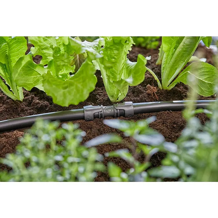 Gardena Micro-Drip Conector - ½″, 5 ud. - Primer plano de un sistema de riego por goteo con conector de manguera en un huerto, con lechugas y hierbas jóvenes.