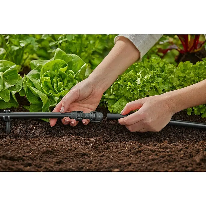 Gardena Micro-Drip Conector - ½″, 5 ud. - Primer plano de una persona conectando un tubo de riego negro con un conector en un jardín lleno de lechugas verdes.