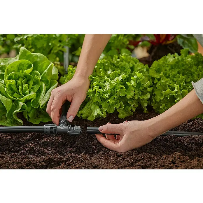 Gardena Micro-Drip Pieza T - 1/2" x 13 mm, 5 ud. - Una persona conecta un sistema de riego con tubos negros y un conector en T gris en el jardín. El sistema de riego permite un riego óptimo.