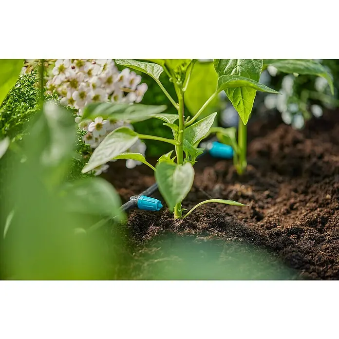 Gardena Micro-Drip Gotero lineal regulable - 15 ud., Caudal de agua máx.: 15 l/h - Primer plano de un sistema de riego para plantas, que muestra un riego eficiente y específico para un crecimiento saludable del jardín.