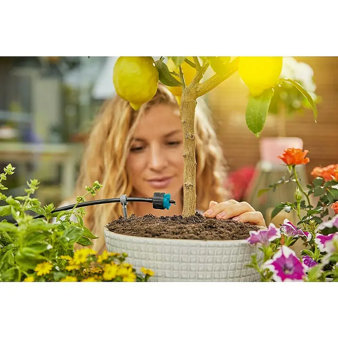 Gardena Micro-Drip Gotero final regulable - 6 ud., 8 l/h - Mujer regando un limonero en maceta con un sistema de riego. El sistema asegura un riego óptimo de la planta.