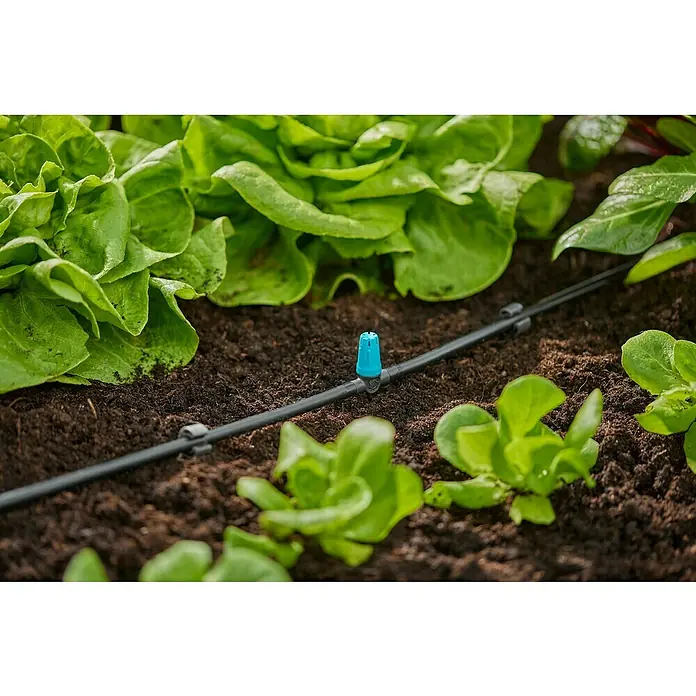 Gardena Micro-Drip Aspersor para pequeñas superficies - 15 ud. - Primer plano de un sistema de riego en un jardín con lechugas. Riego preciso para un crecimiento saludable.