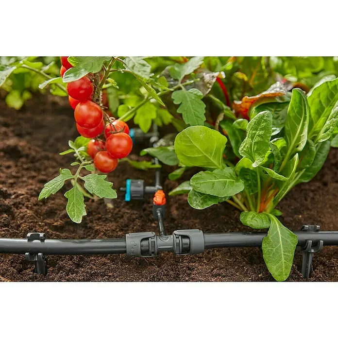 Gardena Micro-Drip Pieza T 1/2" - 3/16" - ½″, 4 ud. - Primer plano de un sistema de riego de jardín con tomates y acelgas, que muestra el riego eficiente de los cultivos.
