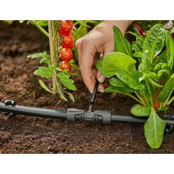 Gardena Micro-Drip Pieza T 1/2" - 3/16" - ½″, 4 ud. - Detalle de la instalación de un sistema de riego por goteo para plantas en el jardín, asegurando un suministro óptimo de agua.