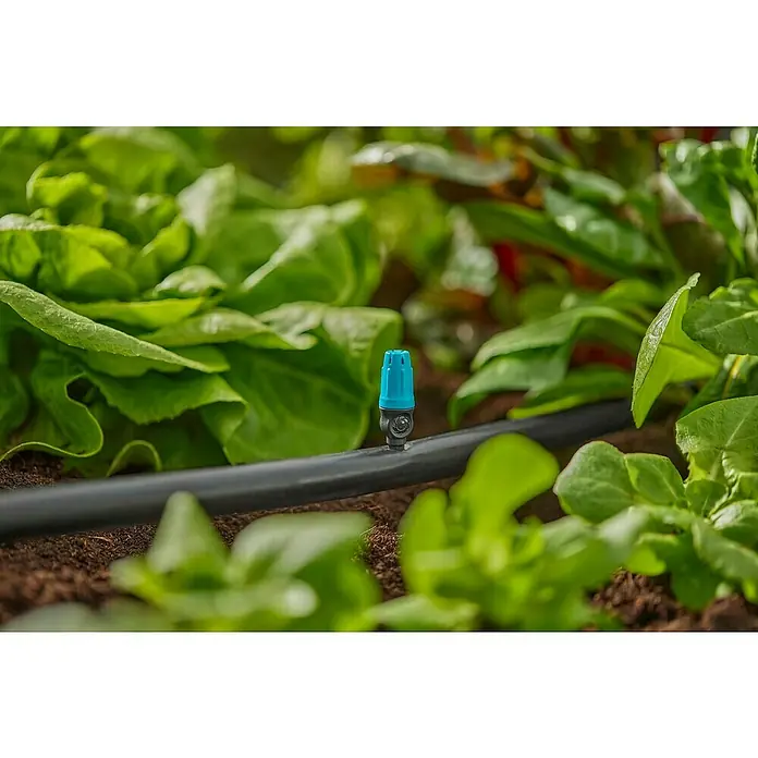 Gardena Micro-Drip Aspersor para pequeñas superficies - ½″, 15 ud. - Primer plano de un sistema de riego con un gotero azul entre plantas de lechuga verde, permitiendo un riego eficiente en el jardín.