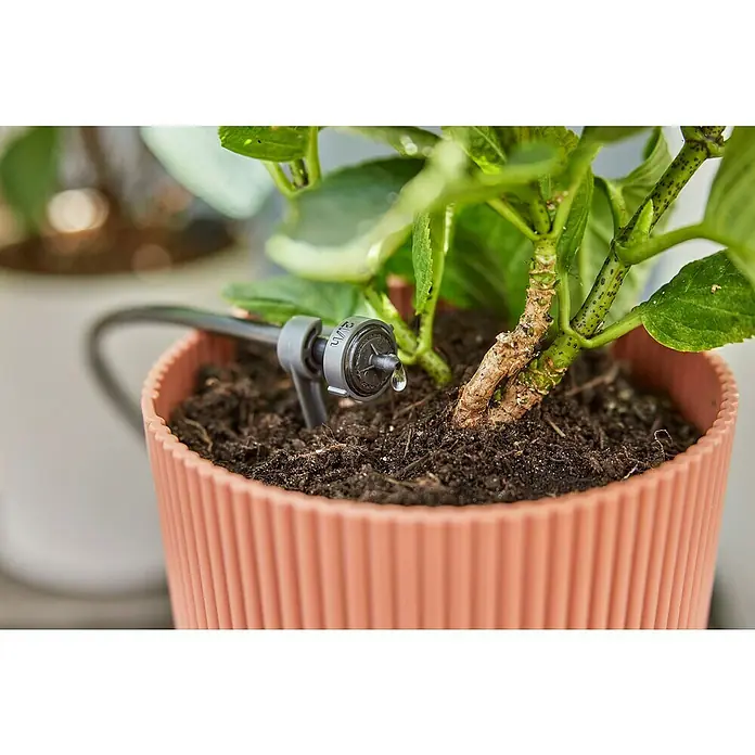 Gardena Micro-Drip Gotero final - 15 ud., 2 l/h - Primer plano de un sistema de riego automático para una planta en maceta, que demuestra el suministro de agua dirigido.