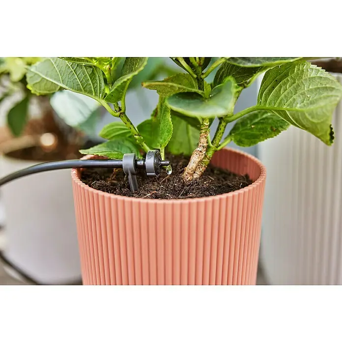 Gardena Micro-Drip Gotero final - 15 ud., 2 l/h - Primer plano de una boquilla de riego en una planta en maceta, que proporciona un riego preciso y eficiente.