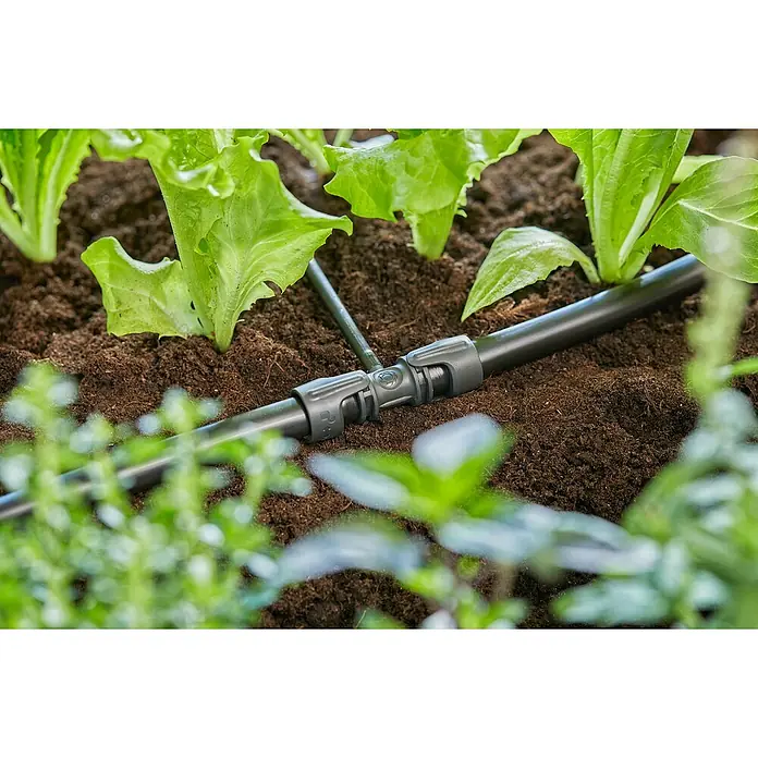 Gardena Micro-Drip Pieza T 1/2" - 3/16" - ½″, 4 ud. - Primer plano de un sistema de riego en el parterre, que suministra agua a las plantas de manera óptima. Foco en el conector de manguera.