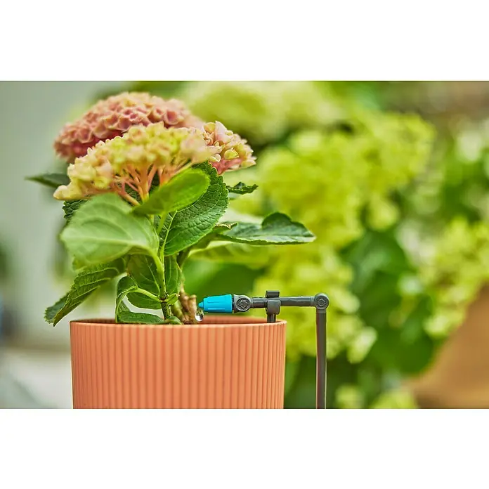 Gardena Micro-Drip Gotero final ajustable - 15 ud., 15 l/h - Primer plano de un sistema de riego para plantas en maceta que irriga una Hydrangea, diseñado para una jardinería eficiente.