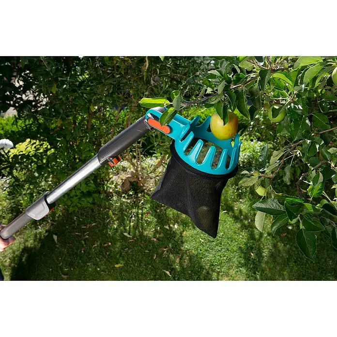 Gardena Combisystem ObstpflückerArbeitsbreite: 14 cm - Nahaufnahme eines Obstpflückers mit Teleskopstiel und Netzbeutel, der an einem Baum mit reifen Äpfeln befestigt ist.