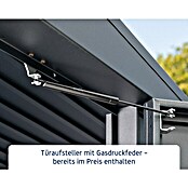 EcoStar Gerätehaus Elegant Typ 1 (Außenbreite inkl. Dachüberstand: 247,9 cm, Außentiefe inkl. Dachüberstand: 153 cm, Anthrazitgrau, Einzeltür) | BAUHAUS