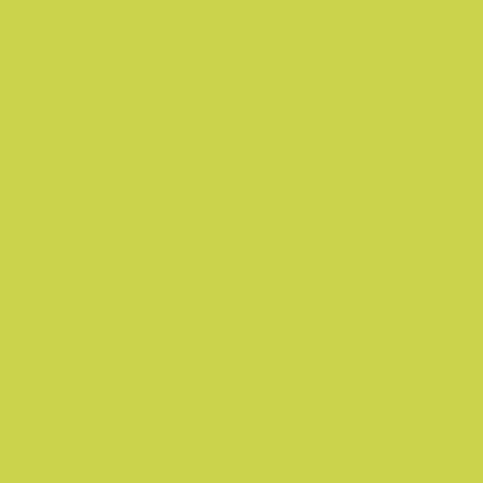 SCHÖNER WOHNEN-Farbe Bad- & Küchenfarbe - Fresh, 2,5 l, Matt - Grünliches Farbfeld, ideal als Hintergrund oder zur Farbgestaltung, vielseitig einsetzbar für verschiedene Designs und Projekte.