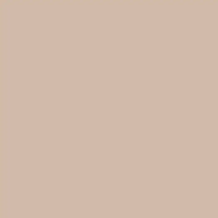 SCHÖNER WOHNEN-Farbe Bad- & Küchenfarbe - Sand, 2,5 l, Matt - Elegantes, einfarbiges Design in sanftem Beige, ideal für minimalistische Hintergründe oder subtile Designelemente.