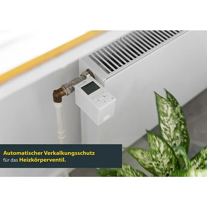 Schellenberg Raumthermostat - Weiß, L x B x H: 65 x 50 x 88 mm - Abbildung des Schellenberg Heizkörperregler Smart Home, montiert an einem Heizkörper, der automatischen Verkalkungsschutz bietet.