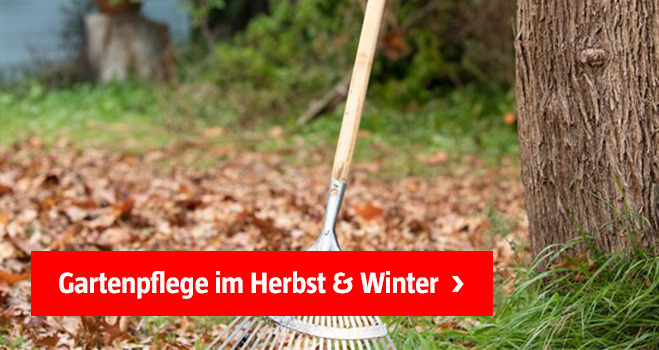 Empfehlungsteaser Gartenpflege im Herbst & Winter