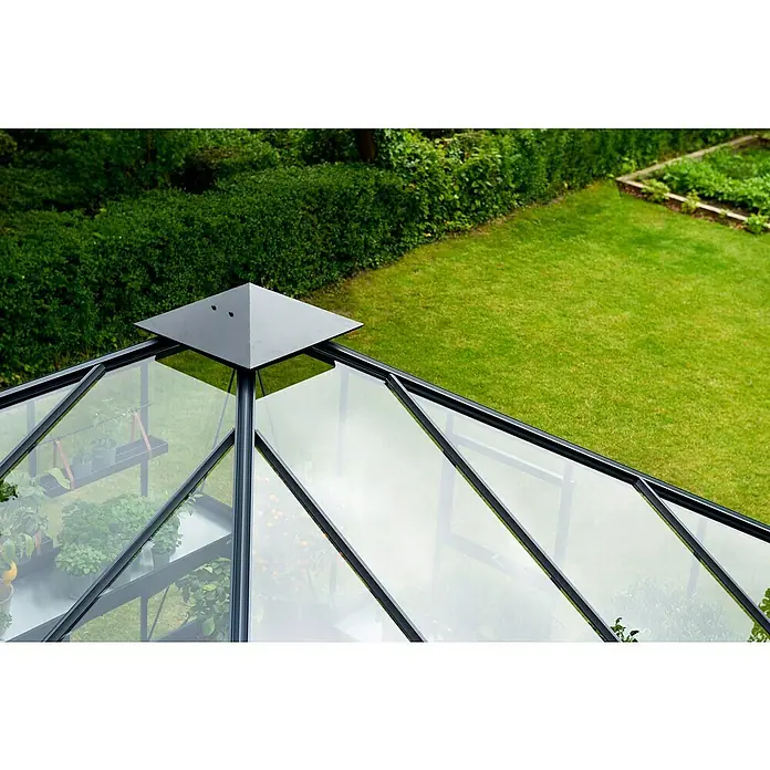 Juliana Gewächshaus Oase - Außenmaß inkl. Dachüberstand (B x T): 368 x 368 cm, Material Seitenwand: Glas, 3 mm, Anthrazit/Schwarz - Nahaufnahme des Glasgewächshausdachs mit schwarzem Rahmen und Pflanzen darin, umgeben von üppigem Grün.